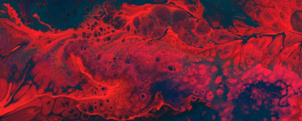 Drakenbloed ‘in the&nbsp;making’